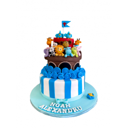 Tort Arca lui Noe