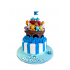 Tort Arca lui Noe