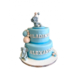 Tort Botez Elefant