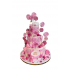 Tort Botez lebada 2