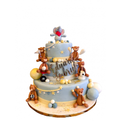 Tort Botez Circ