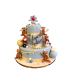 Tort Botez Circ