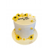 Tort Gender reveal