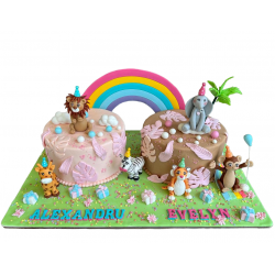 Tort 1 an gemeni