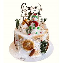 Tort Craciunul lui Frosty