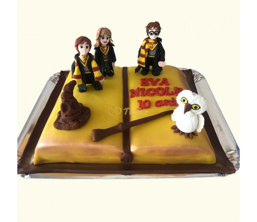 Tort Harry Poterr si cartea magica Tort Harry Poterr si cartea magica